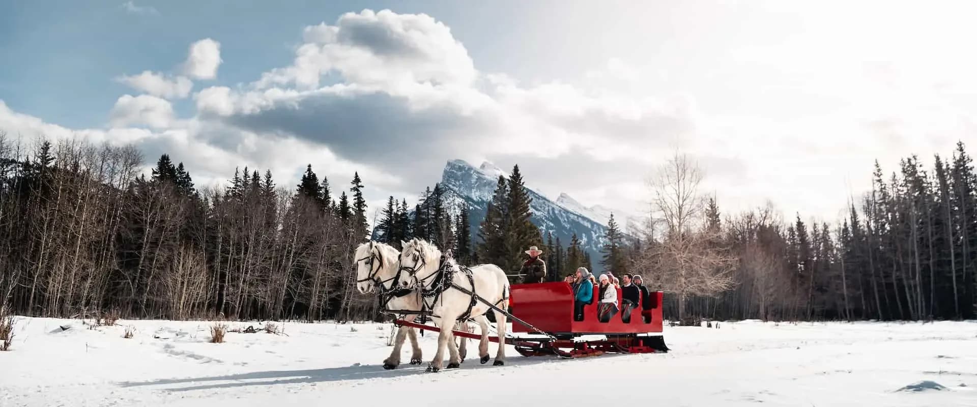 Sleigh Rides