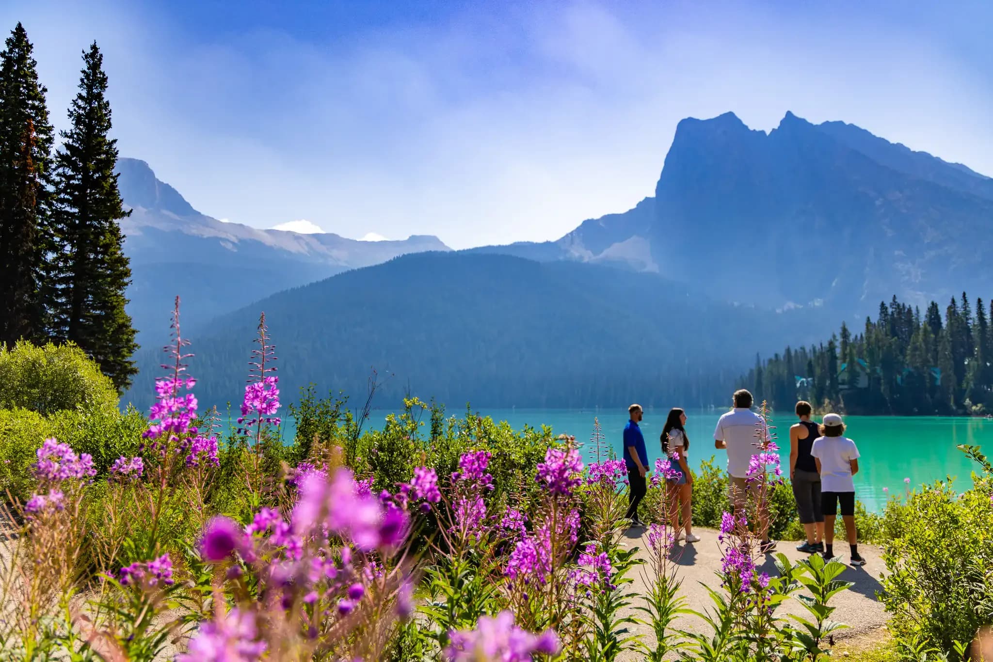 Calgary & Canmore Tours