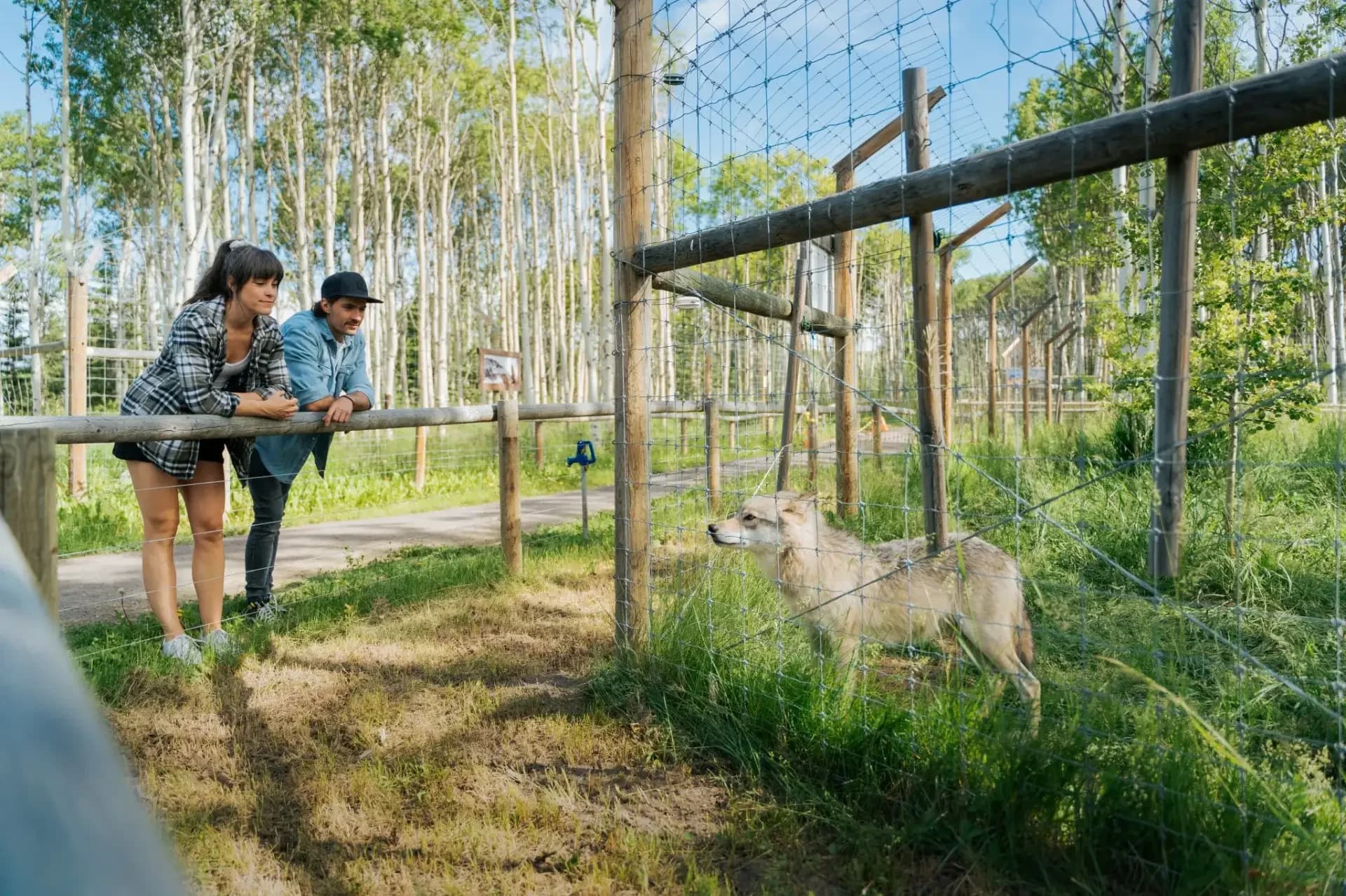 Wildlife Tours