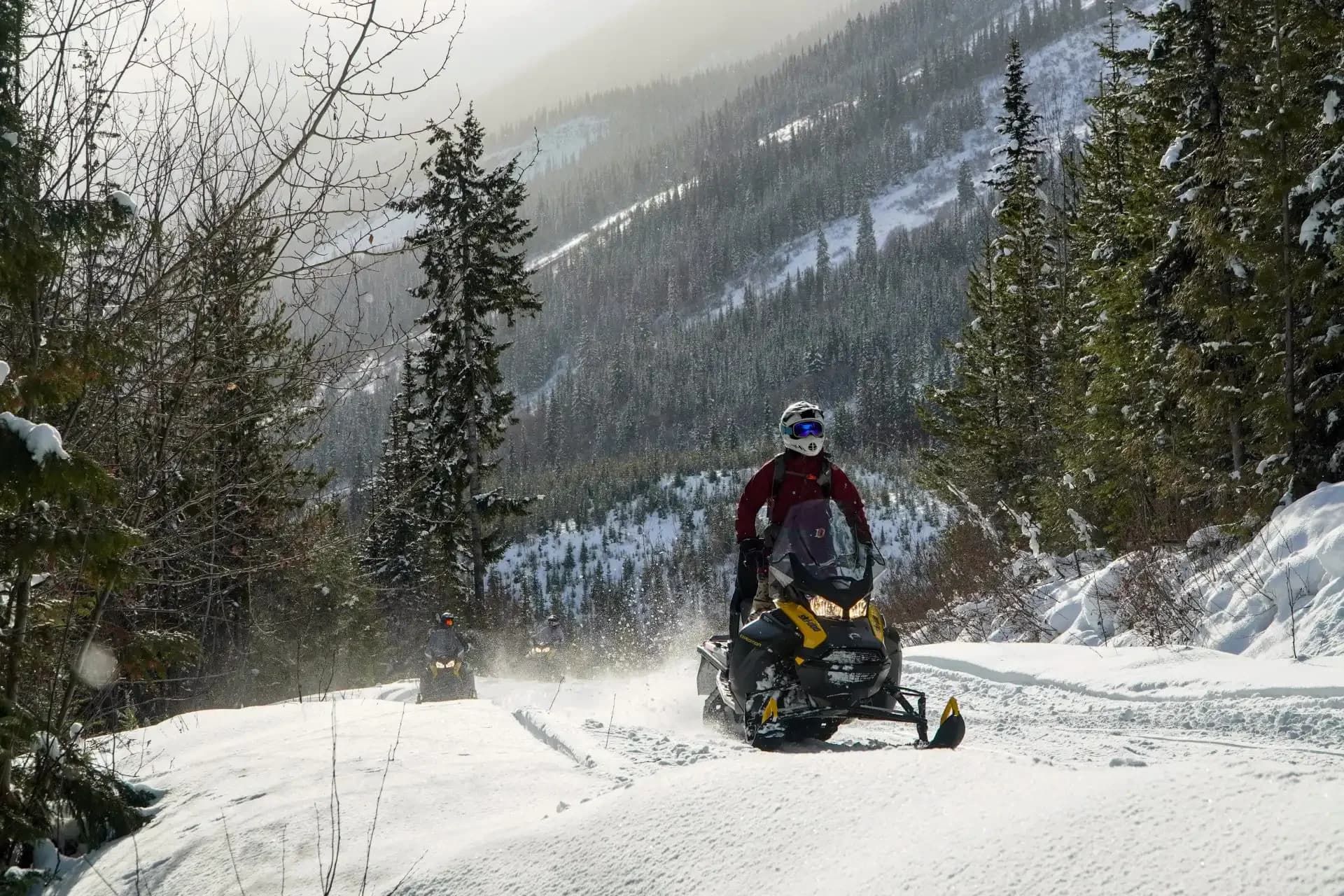 Kicking Horse Snowmobiling Tour