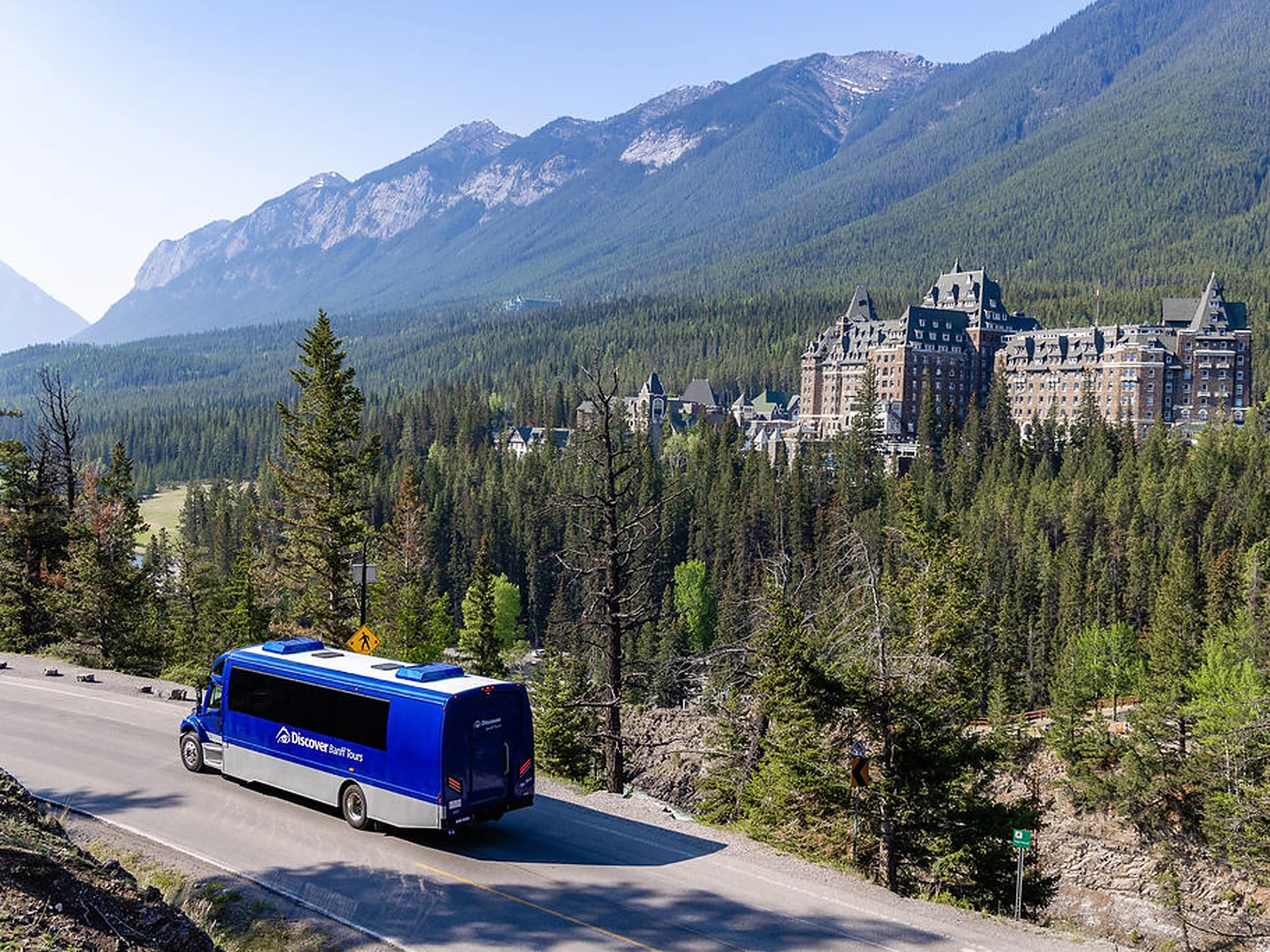 Sightseeing Coach