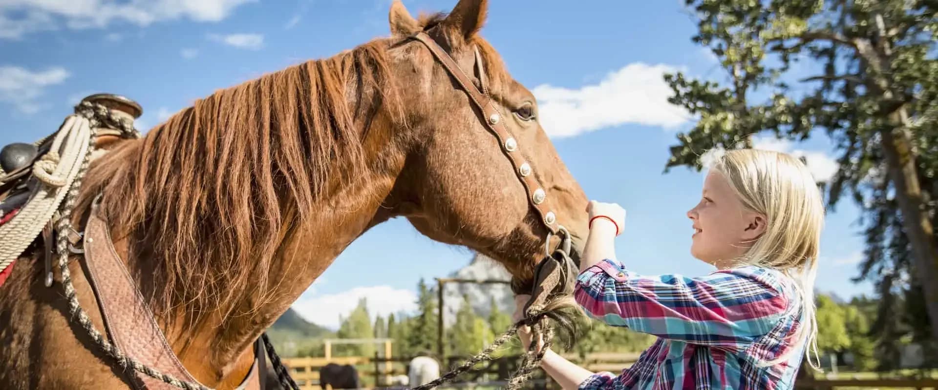 Top 10 Best Things to Do in Banff in Summer