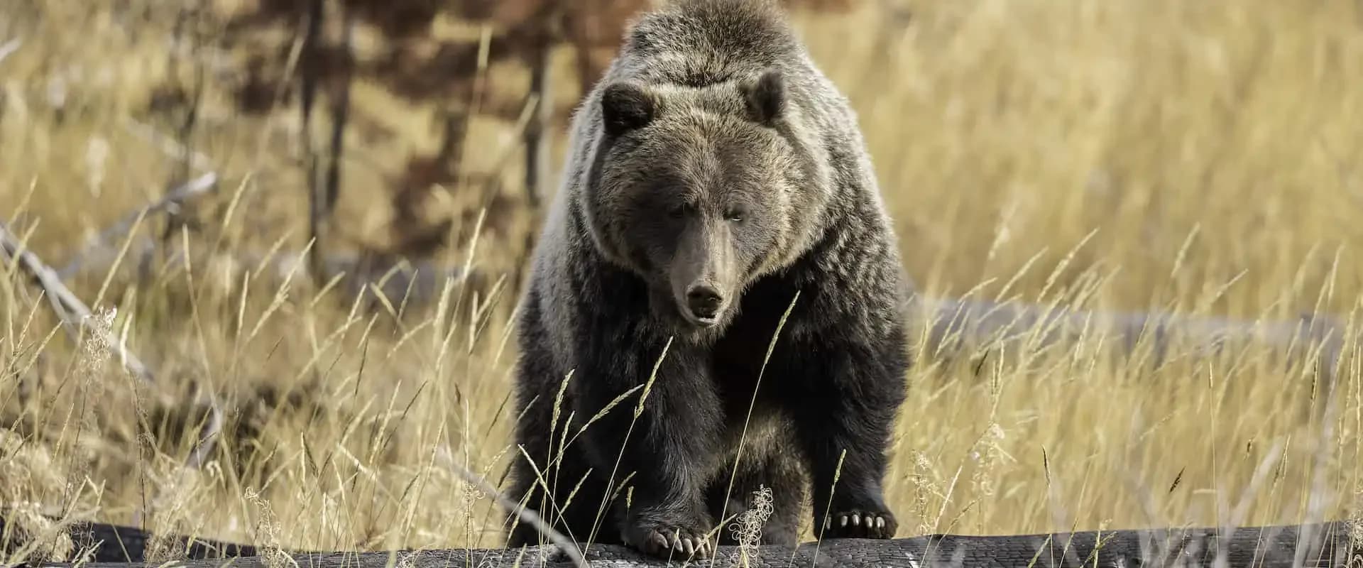 5 Things Our Guides Want You to Know About Our Wildlife Watching Tours