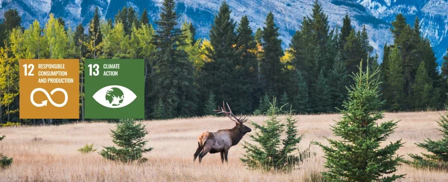 Our Environment — Discover Banff Tours sustainability
